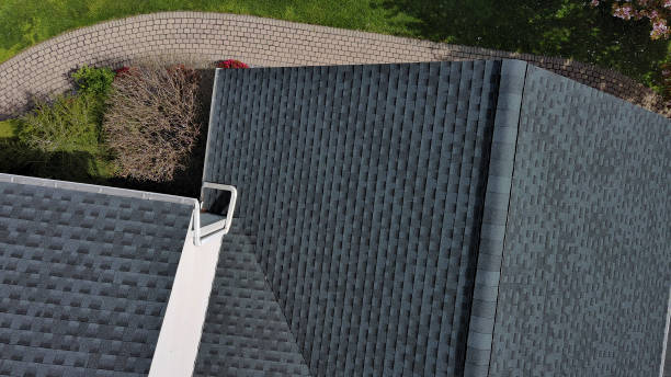 Best Solar Panel Roofing Installation  in Cotulla, TX