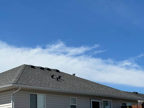 Best Roof Ventilation Installation  in Cotulla, TX